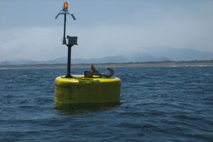 mooring buoy with quick release
